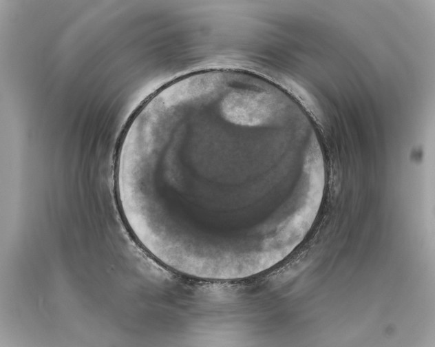 X0000089960950200707201945