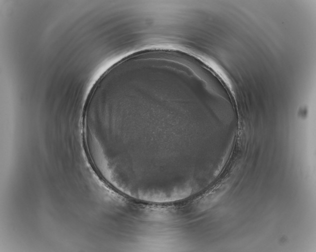 X0000089960951200707201945