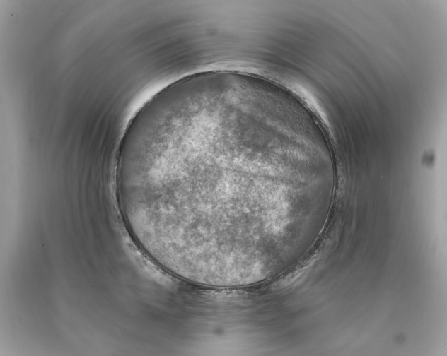 X0000089960952200707201945