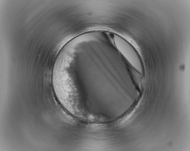 X0000089960953200707201945