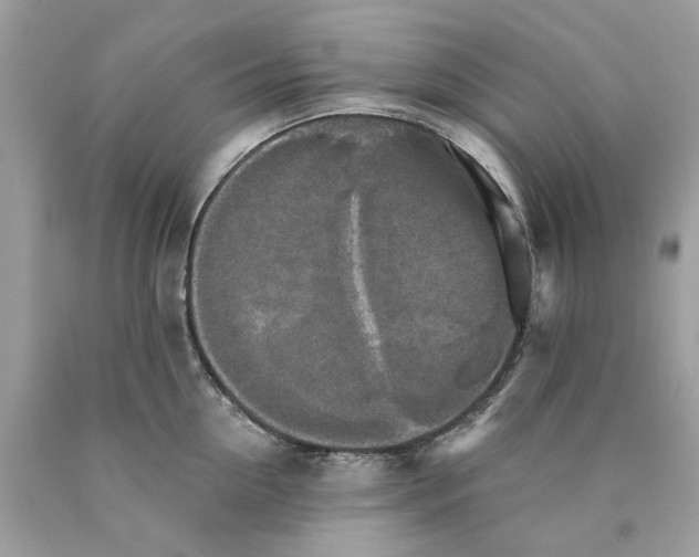 X0000089960954200707201945