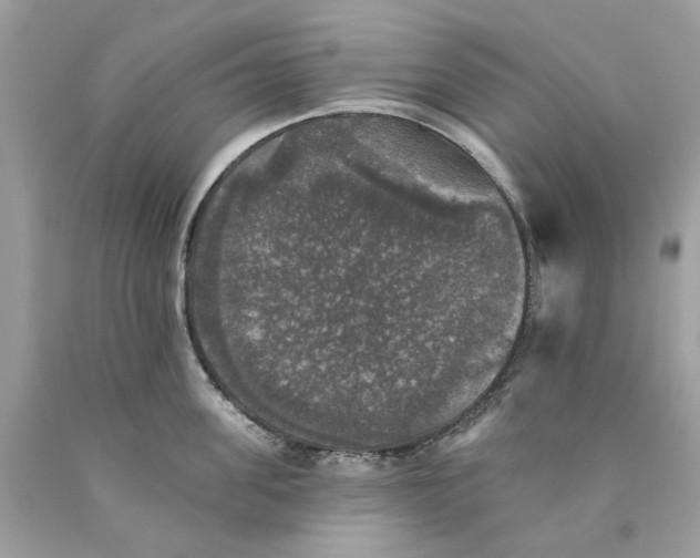 X0000089960955200707201945