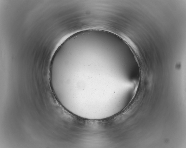 X0000089960956200707201945