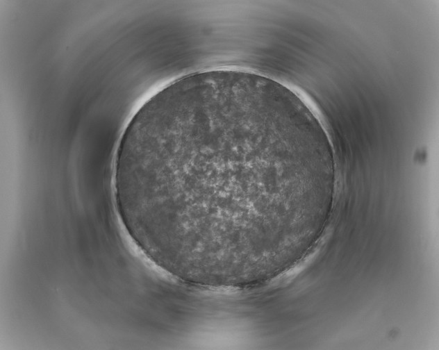 X0000089960957200707201945