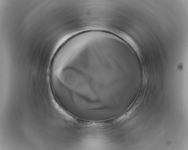 X0000089960958200707201945