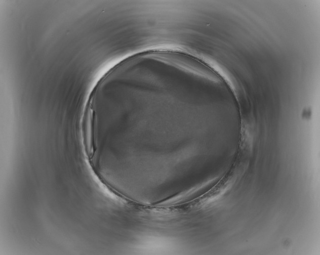 X0000089960959200707201945