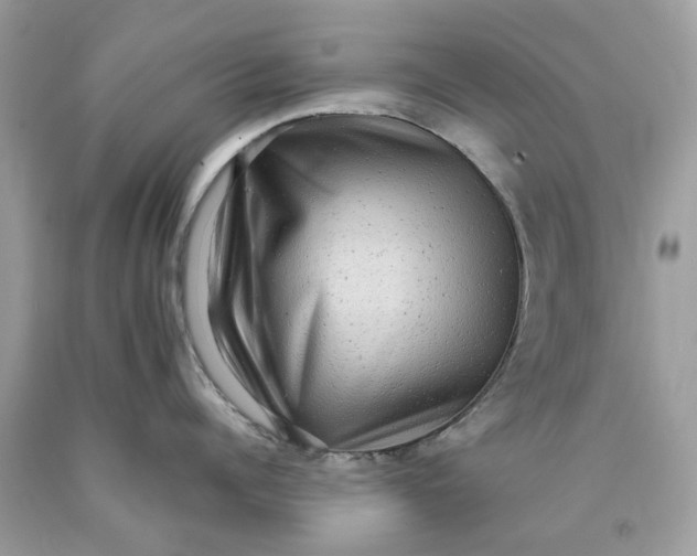 X0000089960960200707201945