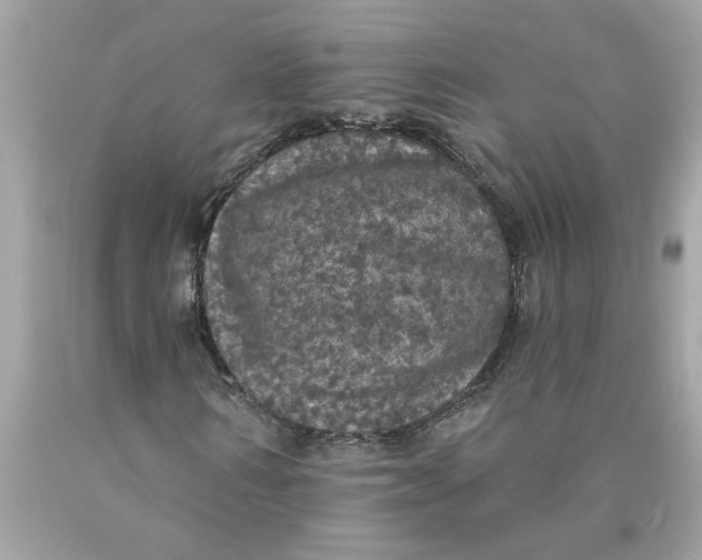 X0000089960962200707201945