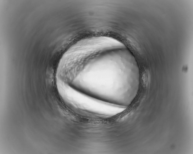 X0000089960963200707201945