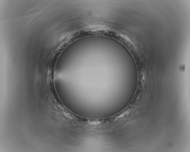 X0000089960965200707201945