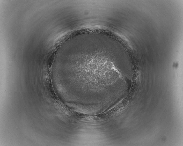 X0000089960966200707201945