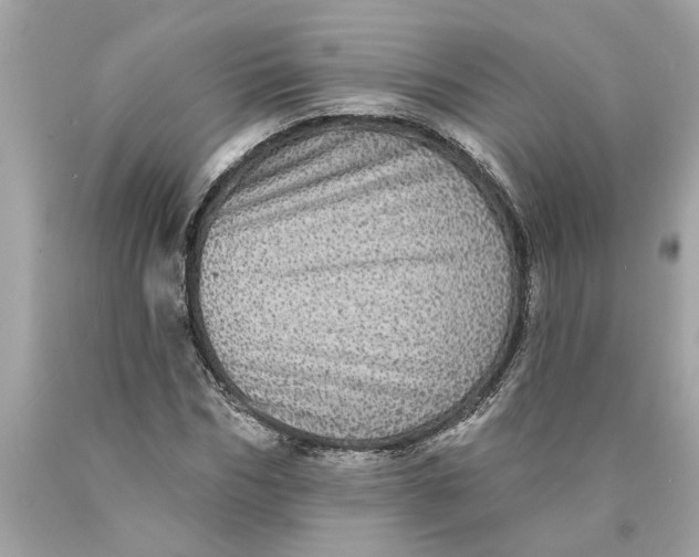 X0000089960970200707201945