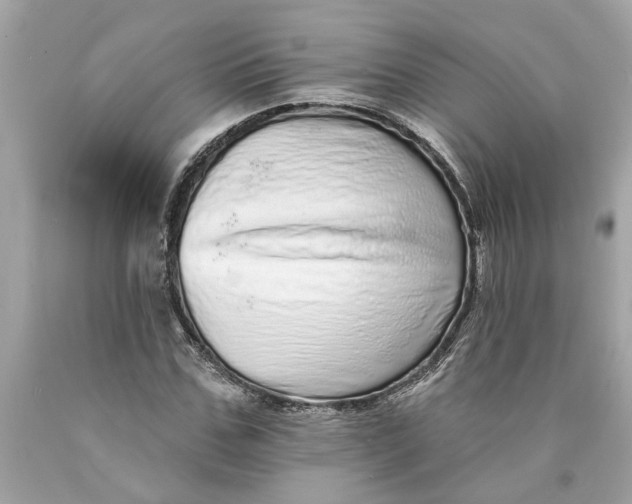 X0000089960971200707201944