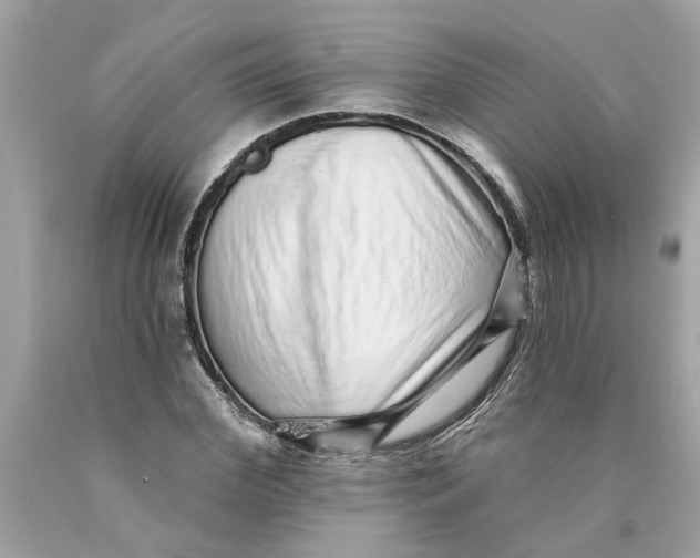 X0000089960972200707201944