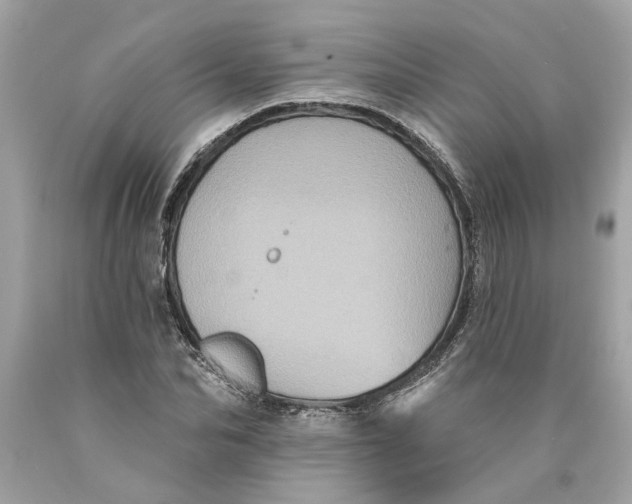 X0000089960974200707201944