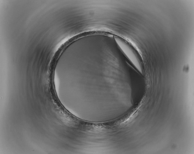 X0000089960975200707201944