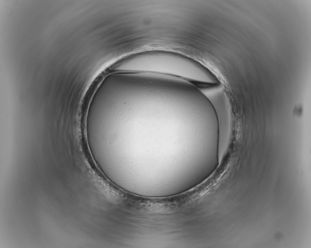 X0000089960976200707201944