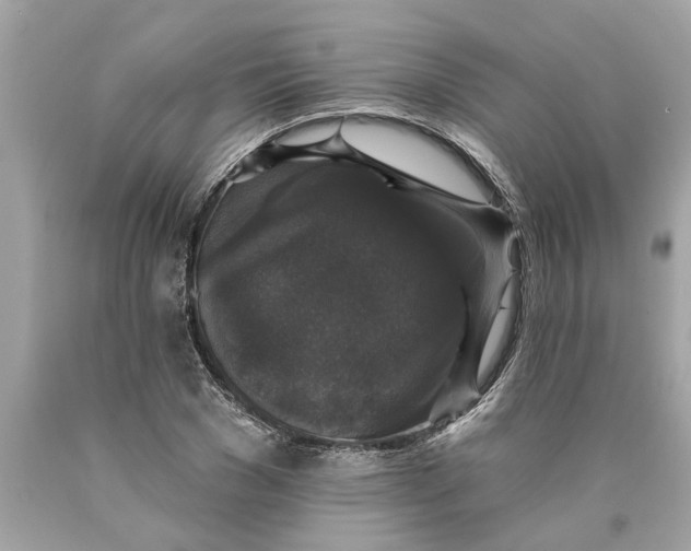 X0000089960977200707201944