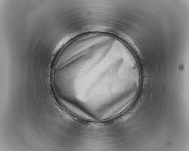 X0000089960978200707201944