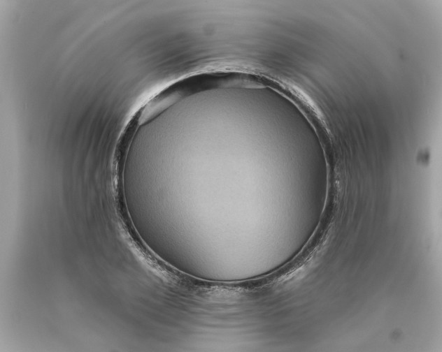 X0000089960981200707201944