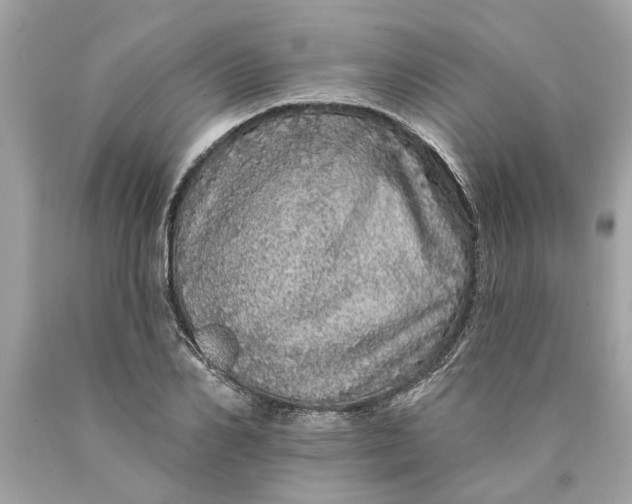 X0000089960982200707201944