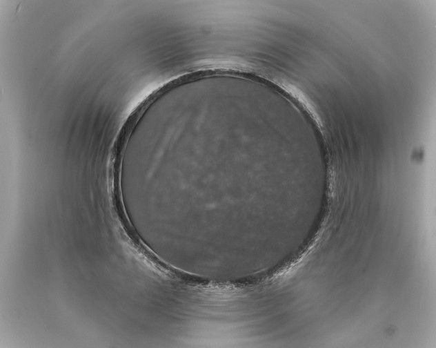 X0000089960983200707201944