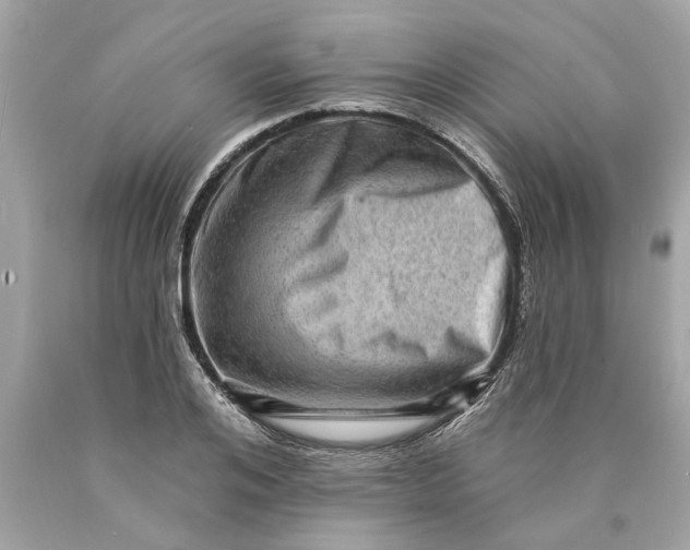 X0000089960984200707201944