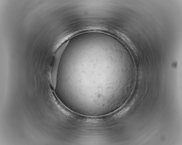 X0000089960985200707201944