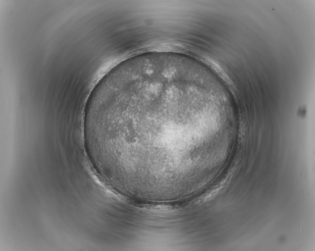 X0000089960986200707201944