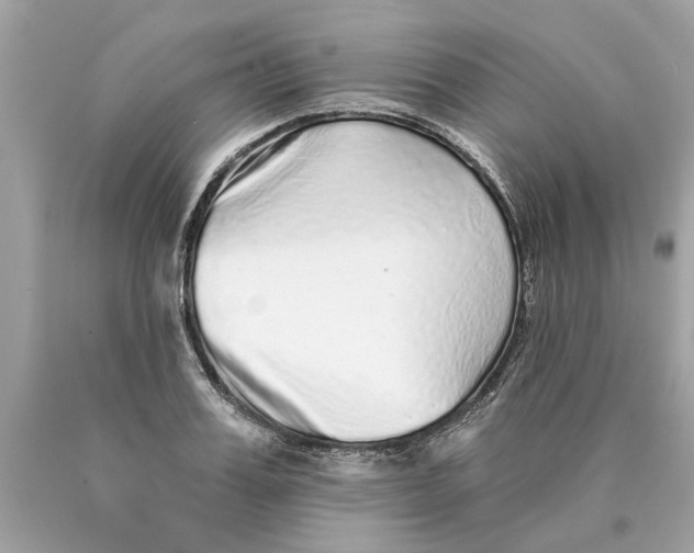 X0000089960987200707201944