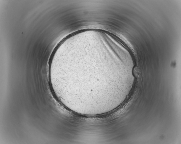 X0000089960988200707201944