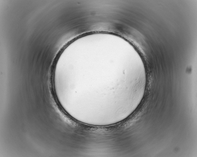 X0000089960991200707201944