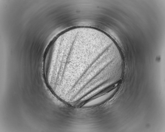 X0000089960992200707201944