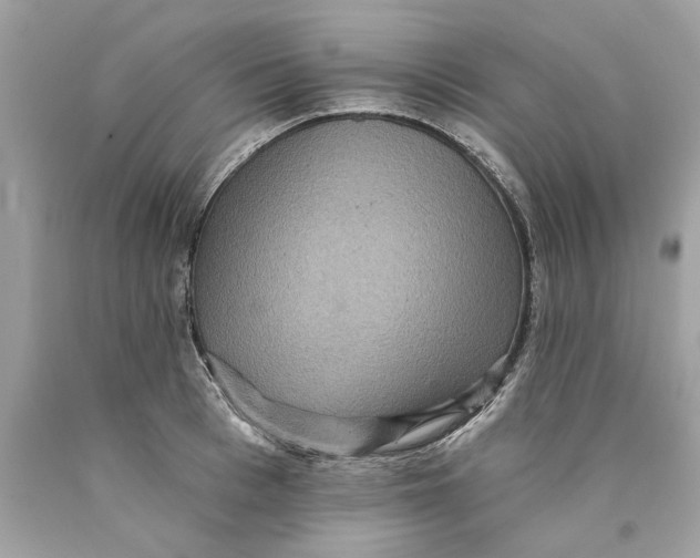 X0000089960993200707201944