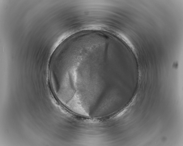 X0000089960994200707201944