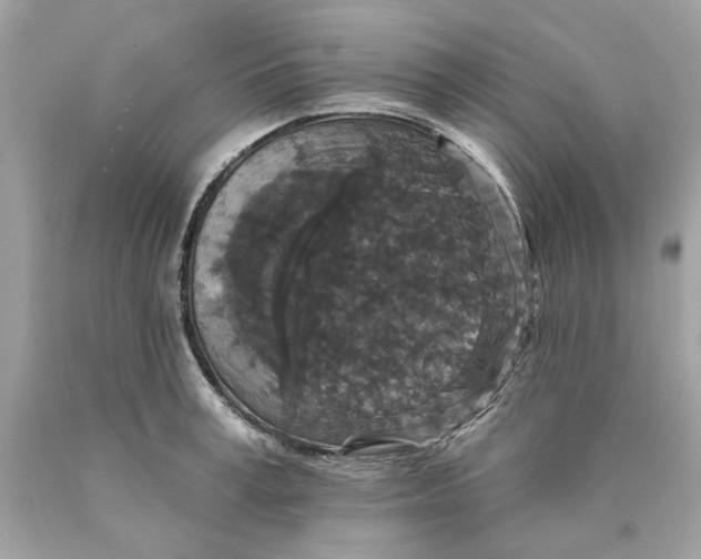 X0000089960995200707201944