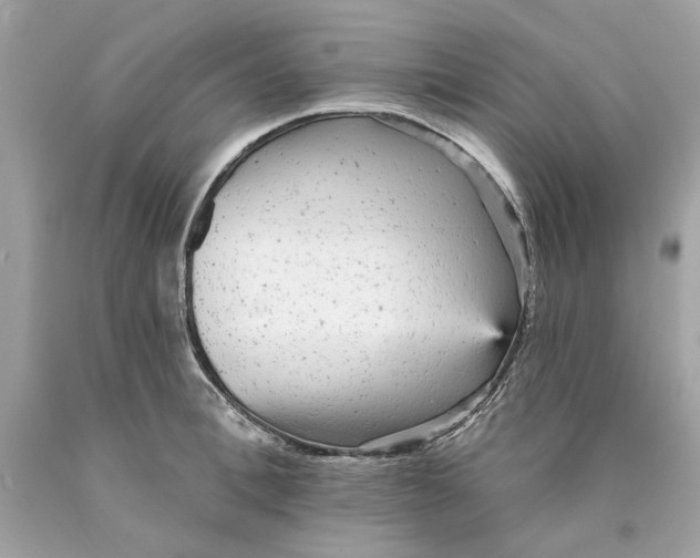 X0000089960996200707201944