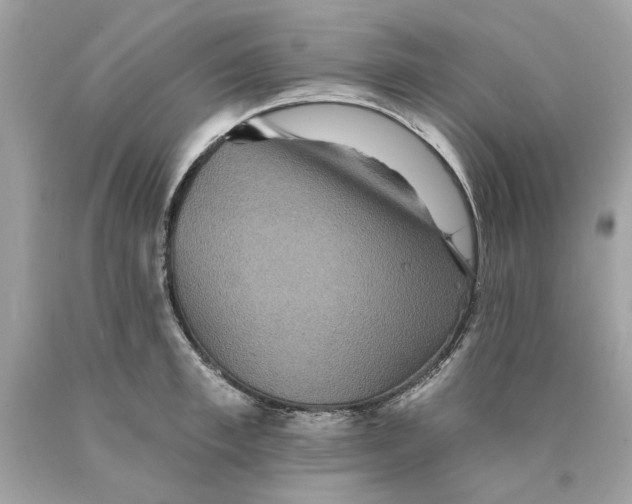 X0000089960997200707201944