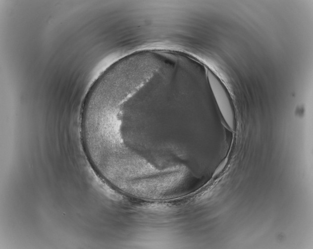 X0000089960998200707201944