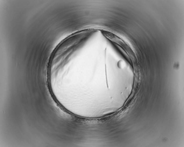 X0000089960999200707201944