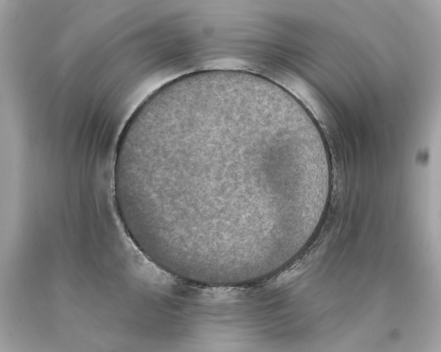 X0000089961000200707201944