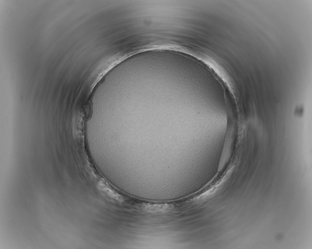 X0000089961001200707201944