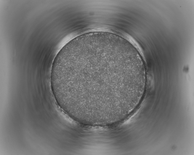 X0000089961002200707201944