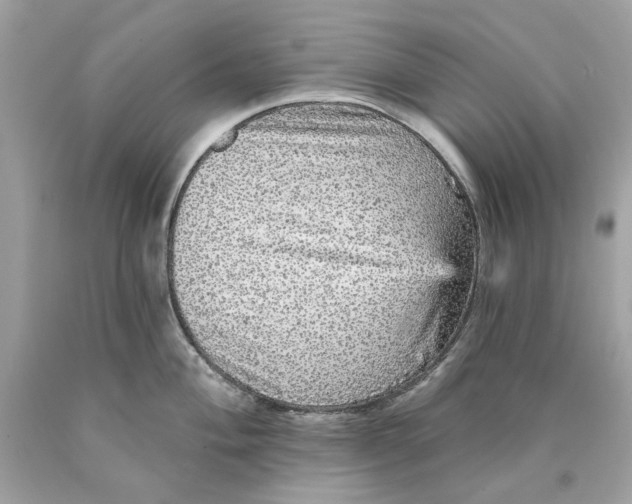 X0000089961004200707201944