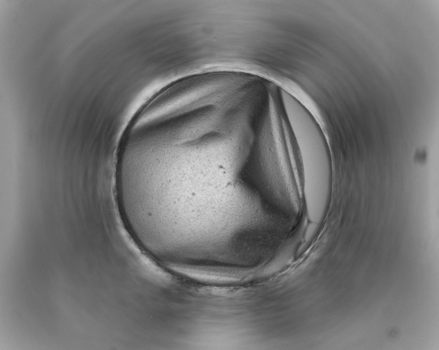 X0000089961005200707201944