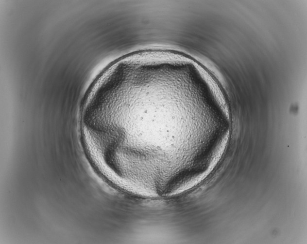 X0000089961006200707201944