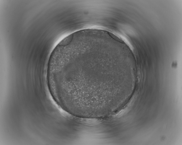 X0000089961007200707201944