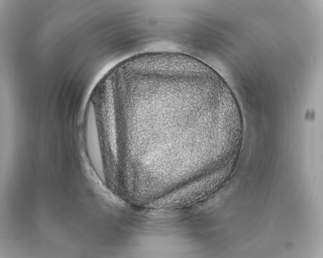 X0000089961008200707201944