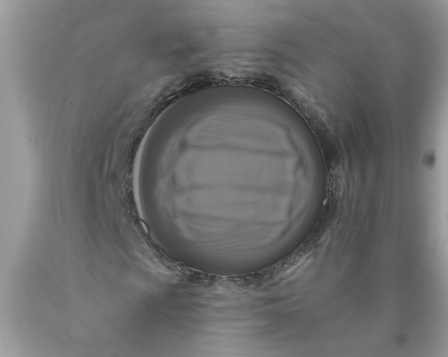 X0000089961009200707201943