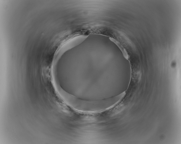 X0000089961010200707201943